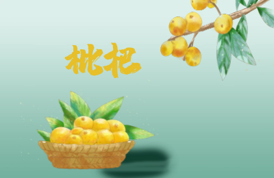 好消息!仁和枇杷陆续上市,计划开放2个月左右
